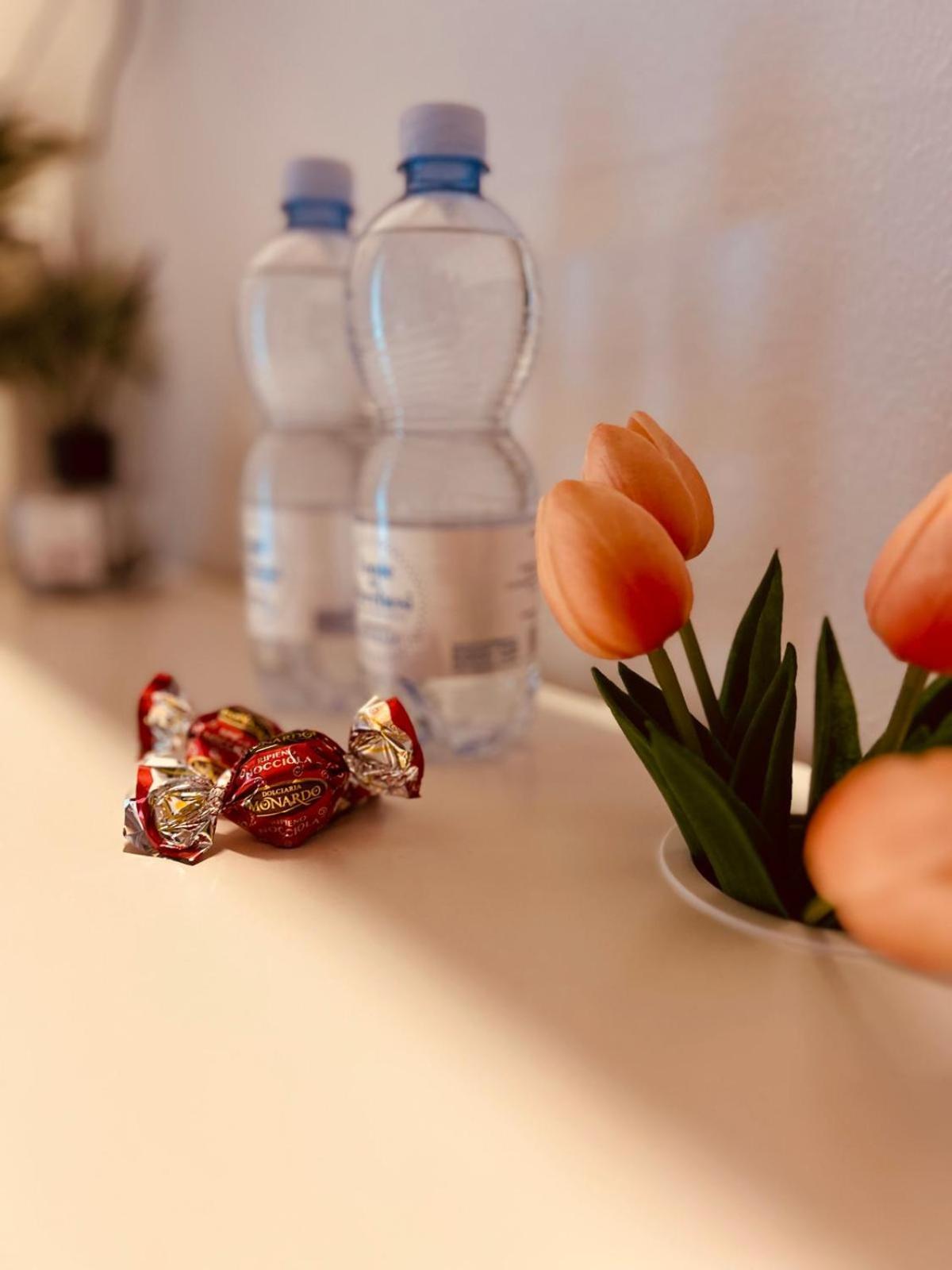 La Casa Nel Bosco Hotel Borzano Ngoại thất bức ảnh